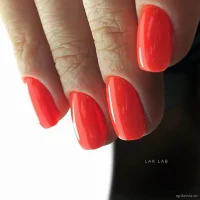 lak lab nails & beauty на производственной улице изображение 1