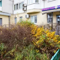 парикмахерская кудесница на зелёном проспекте изображение 15